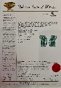 IMG_E9233[1].webp